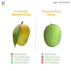Langra Mango | Langda Mango | Villkart