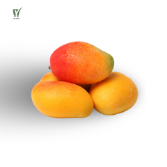Jarda Mango