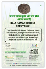 Kala Namak Paddy Seeds for Farming