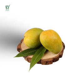 Ratnagiri Alphonso Mango