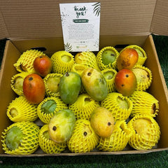 Mango | Villkart | Malda Mango | Dudhiya Malda Mango