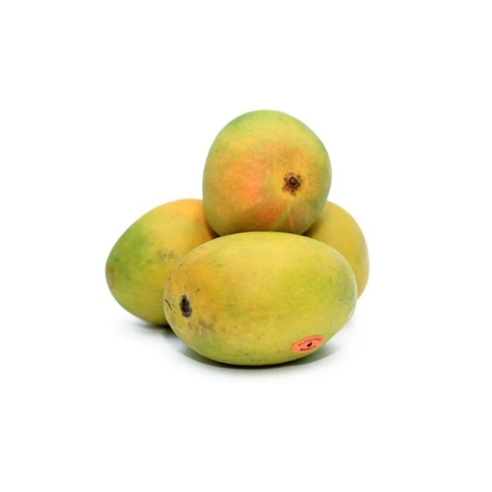 Buy Ratnagiri Alphonso Mango Online | Ratnagiri Hapus Mango | Villkart