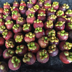 Mangosteen - Exotic - 200 g
