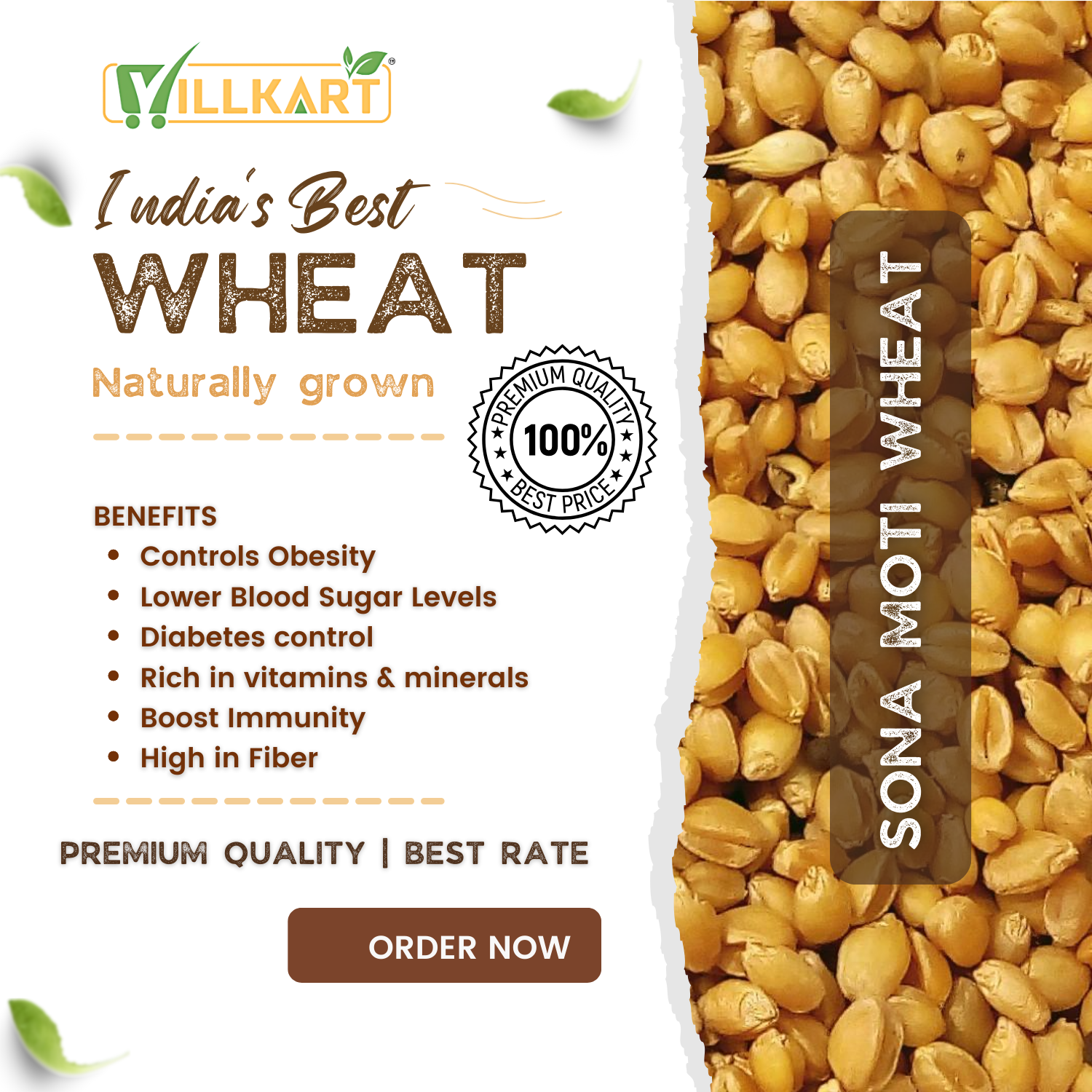 Sona Moti Whole Wheat (Sugar-Free)