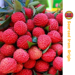 Litchi (Lychee)
