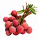 files/CHINAAGradeLITCHI_4_703f04da-4efa-4133-b07b-c0b8a85ba000.png