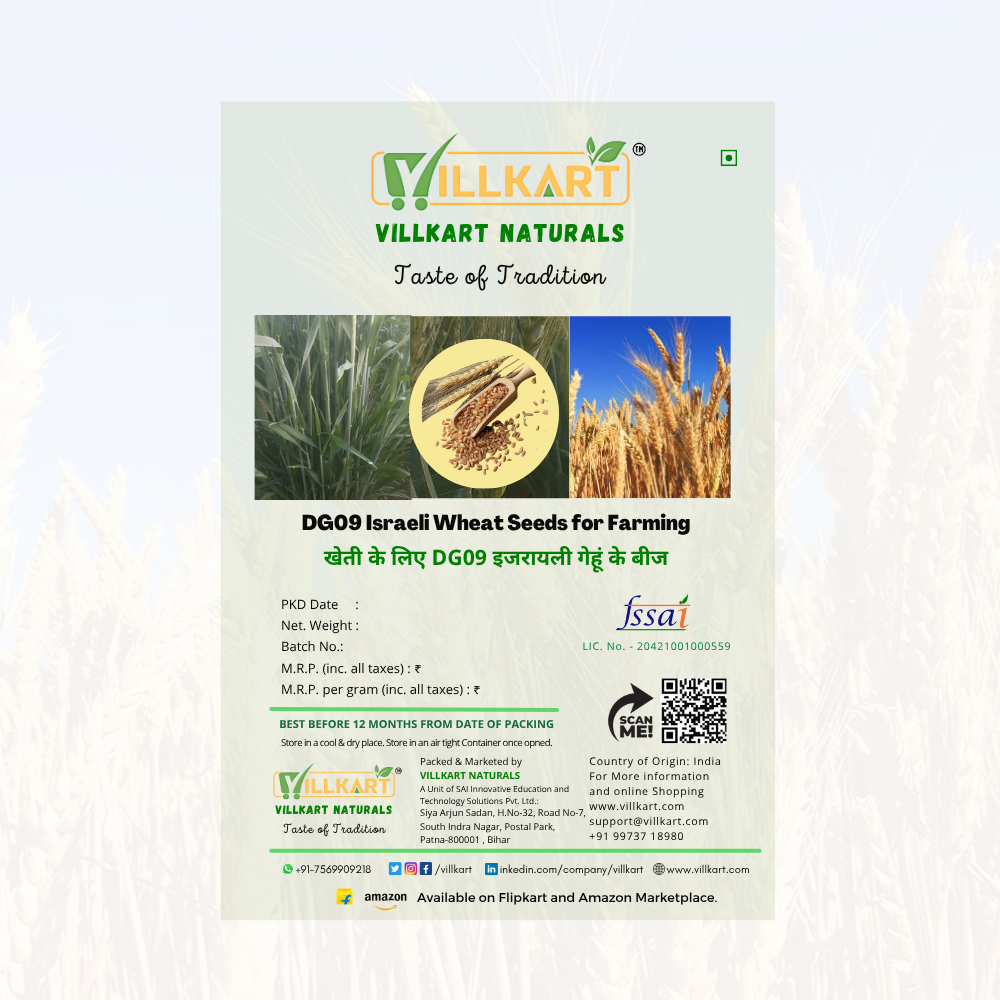 DG09 Wheat Seeds for Farming