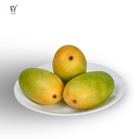 Dasheri Mango