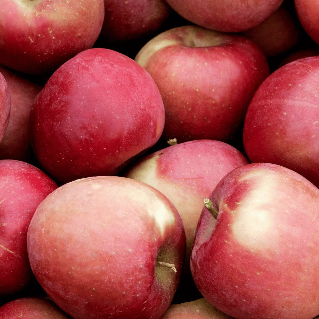 Fuji Apples from Himachal Pradesh