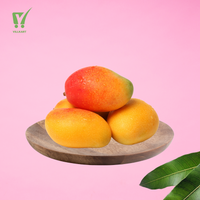 Gulab Khas Mango | Villkart