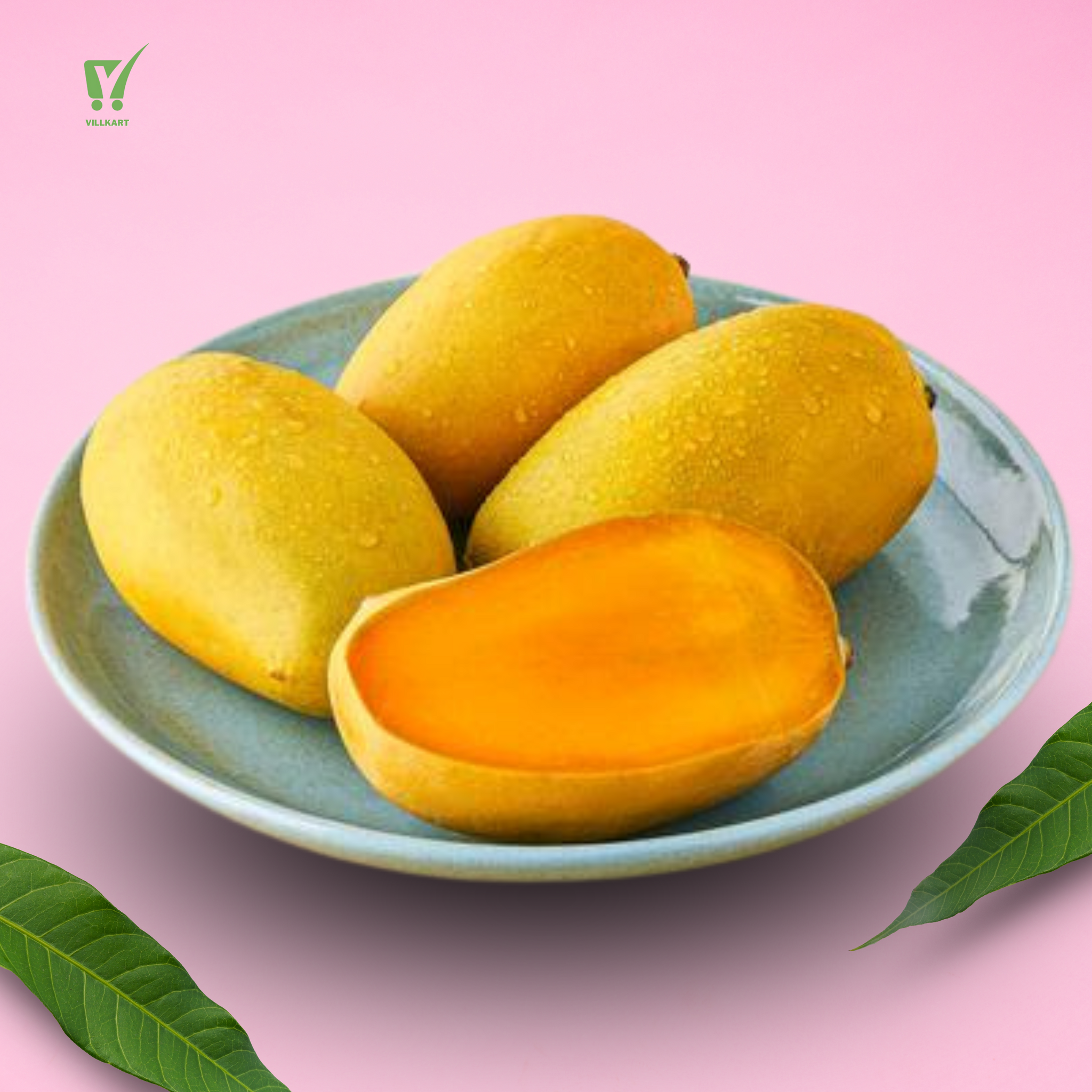 Jardalu Mango (GI Tag) | Villkart