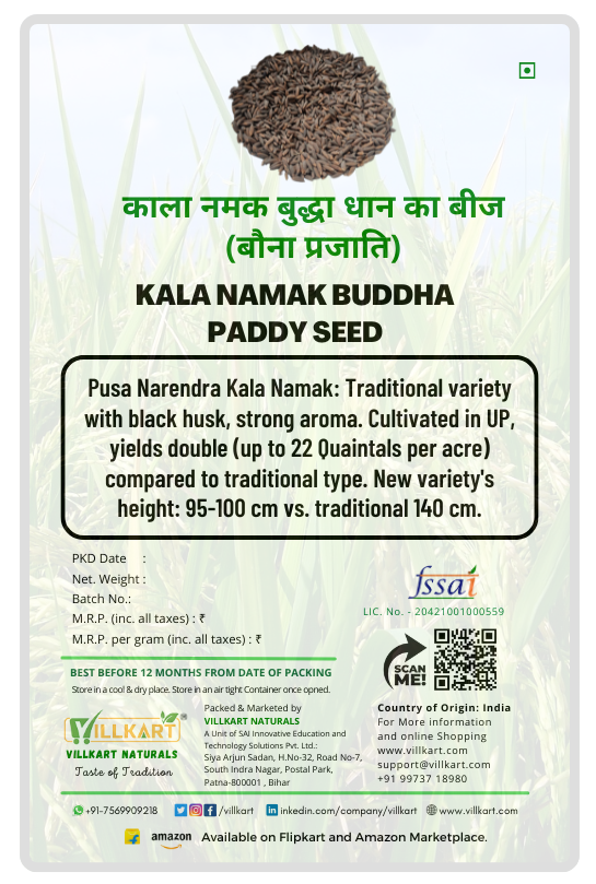 Kala Namak Paddy Seeds for Farming