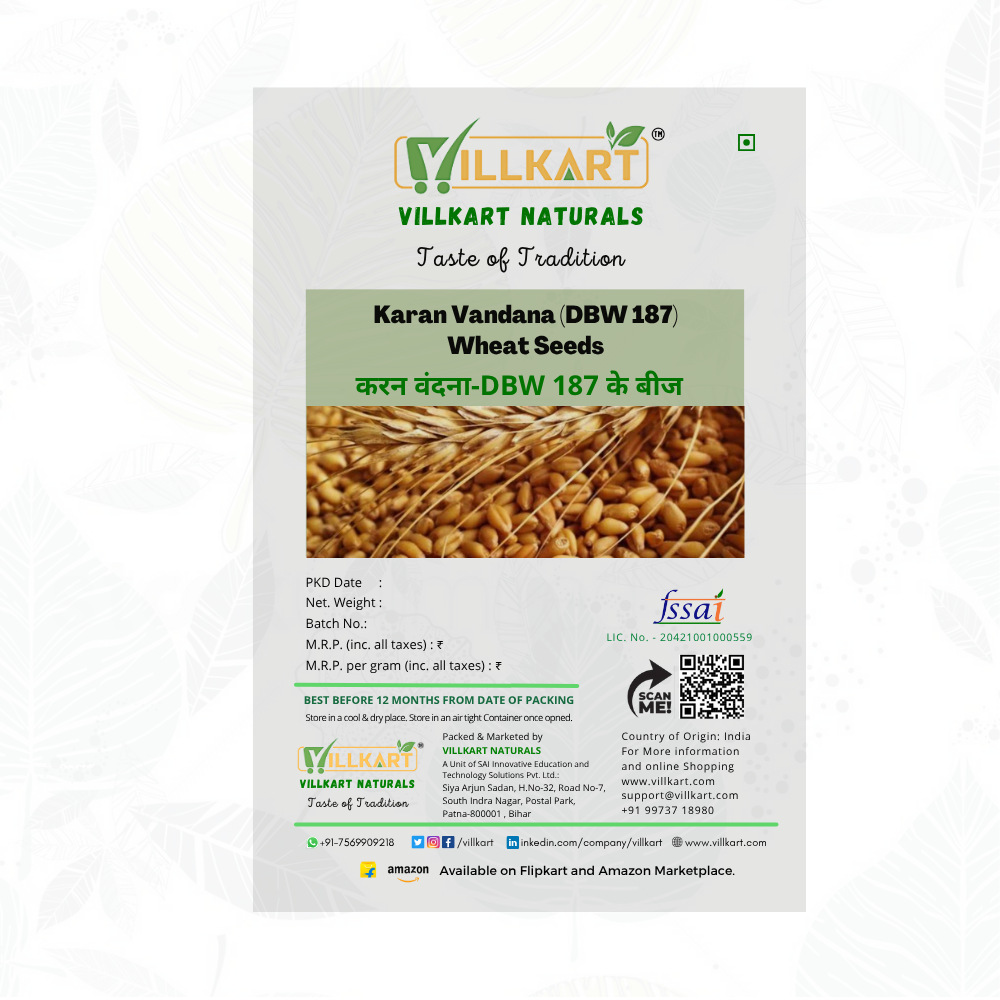 DBW 187 (Karan Vandana) Wheat Variety – Reliable, Productive Farmer Friendly