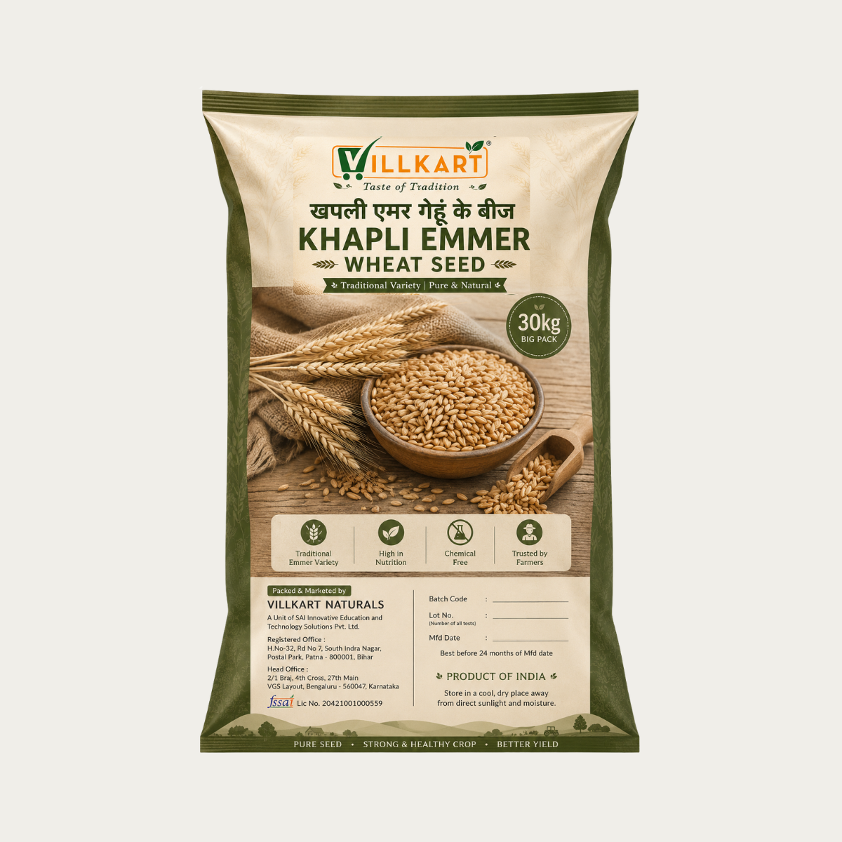 Khapli Emmer Wheat Seeds For Farming I Big Pack