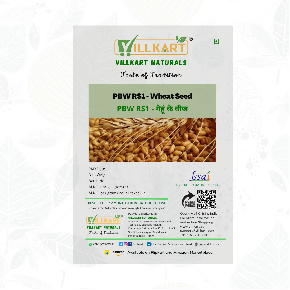 PBW RS1 is a newly developed, nutritionally enhanced wheat variety from the Punjab Agricultural University (PAU) in Ludhiana