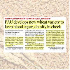 PBW RS1 is a newly developed, nutritionally enhanced wheat variety from the Punjab Agricultural University (PAU) in Ludhiana