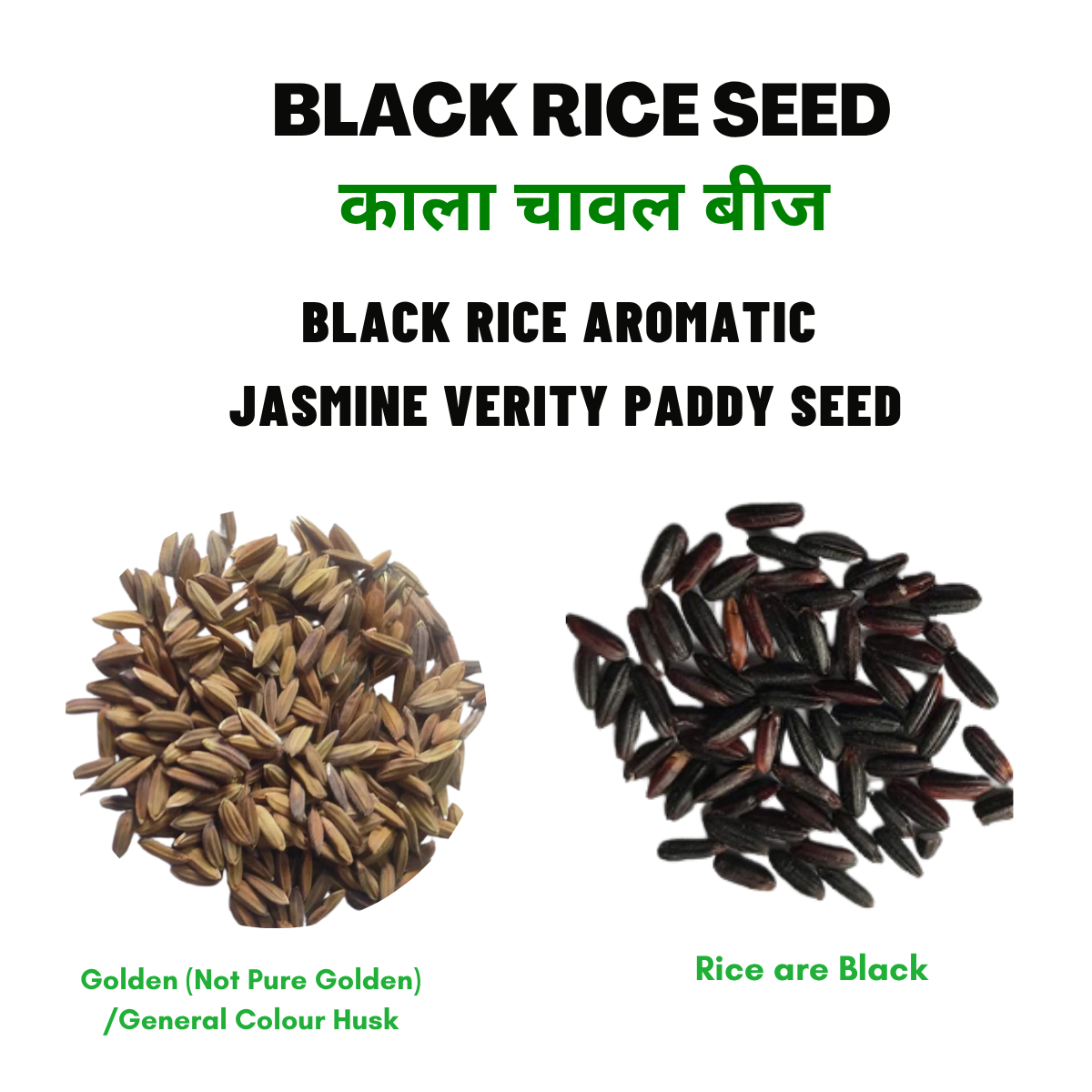 black rice seeds for planting Buy Black Rice Seeds Online