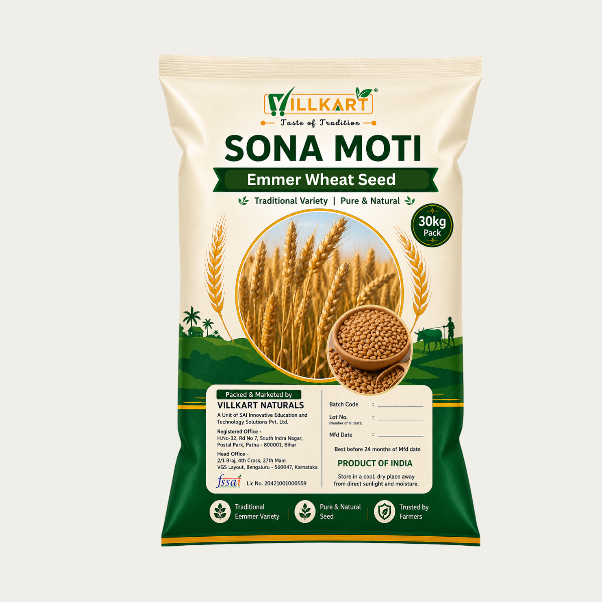 Sona Moti Wheat Seeds I Bulk Pack