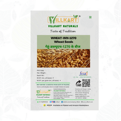 WH1270 Whet Seed - High yielding wheat variety