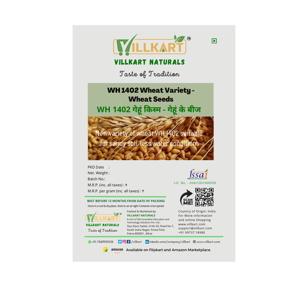WH 1402 Wheat Variety