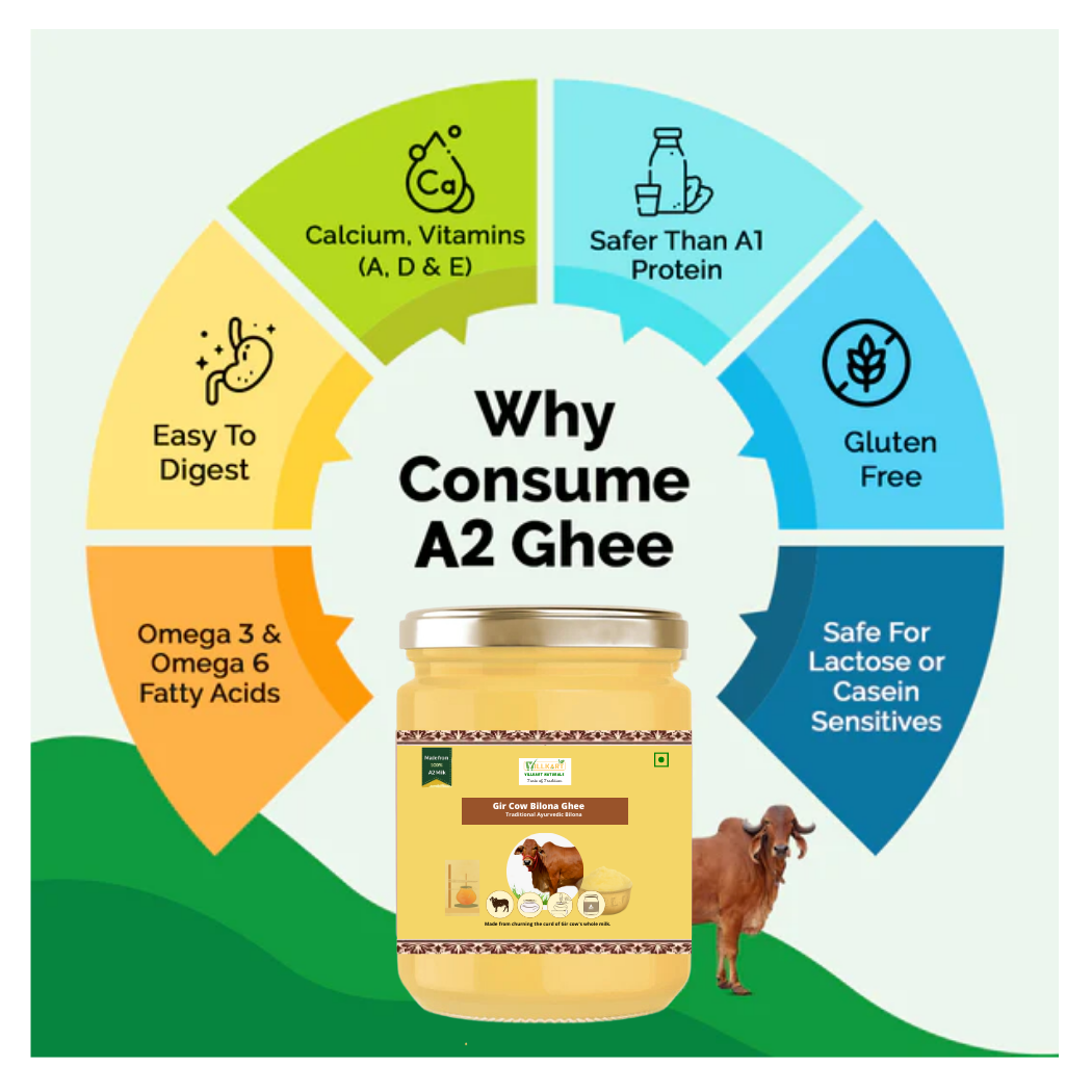 A2 Gir Cow Bilona Ghee