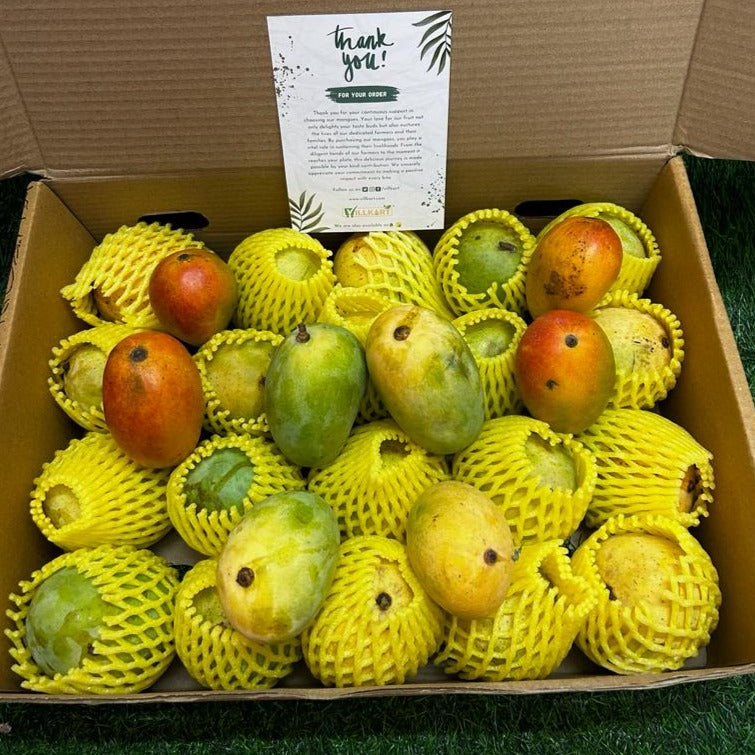 Mango | Villkart | Malda Mango | Dudhiya Malda Mango 