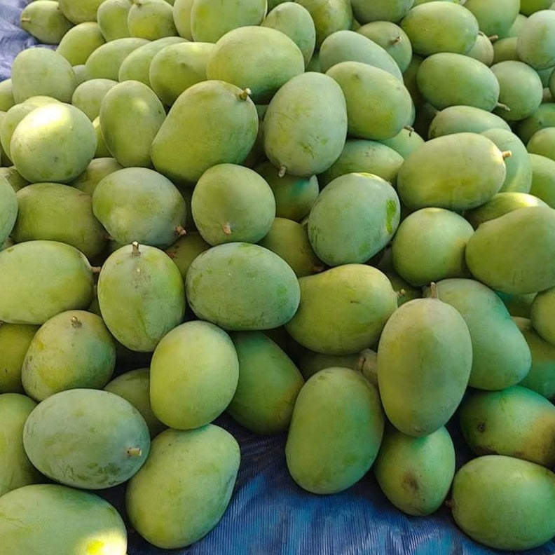 Langra Mango | Villkart