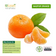 products/1_2b24fb08-b373-45a8-a634-a69a40b7978f.png