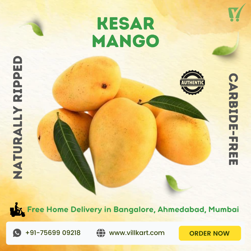 Buy Kesar Mango Online | Kesar Mango 100% Authentic | Best Quality | Villkart