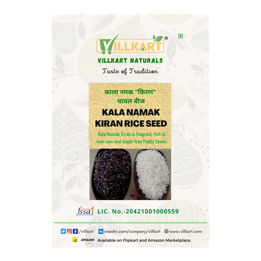 Buy Kala Namak Kiran Paddy Seeds Online | Kalanamak Paddy Seeds