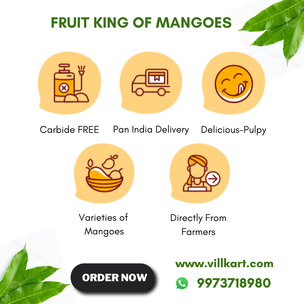 Gulab Khas Mango - 5 kg