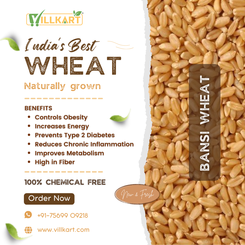 Bansi Wheat Whole (Naturally Grown)