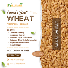 Bansi Wheat Whole (Naturally Grown)