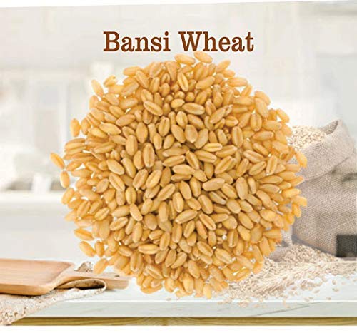 Bansi Wheat Seed for Sowing, Farming & Agriculture (Kheti/खेती)