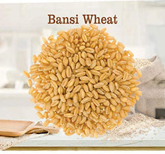 Bansi Wheat Seed for Sowing, Farming & Agriculture (Kheti/खेती)