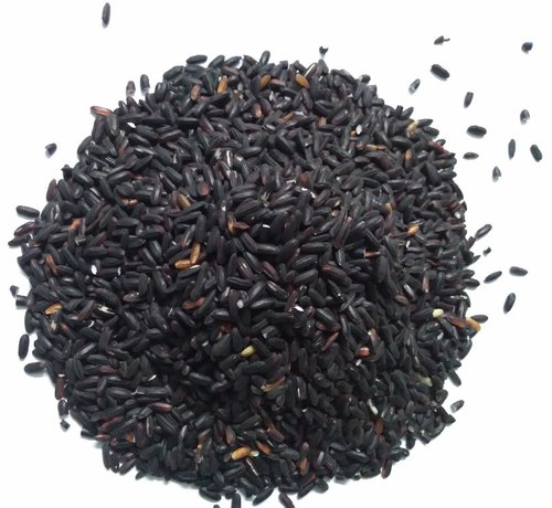 Black Rice Seeds chak-hao (Manipur) for Sowing
