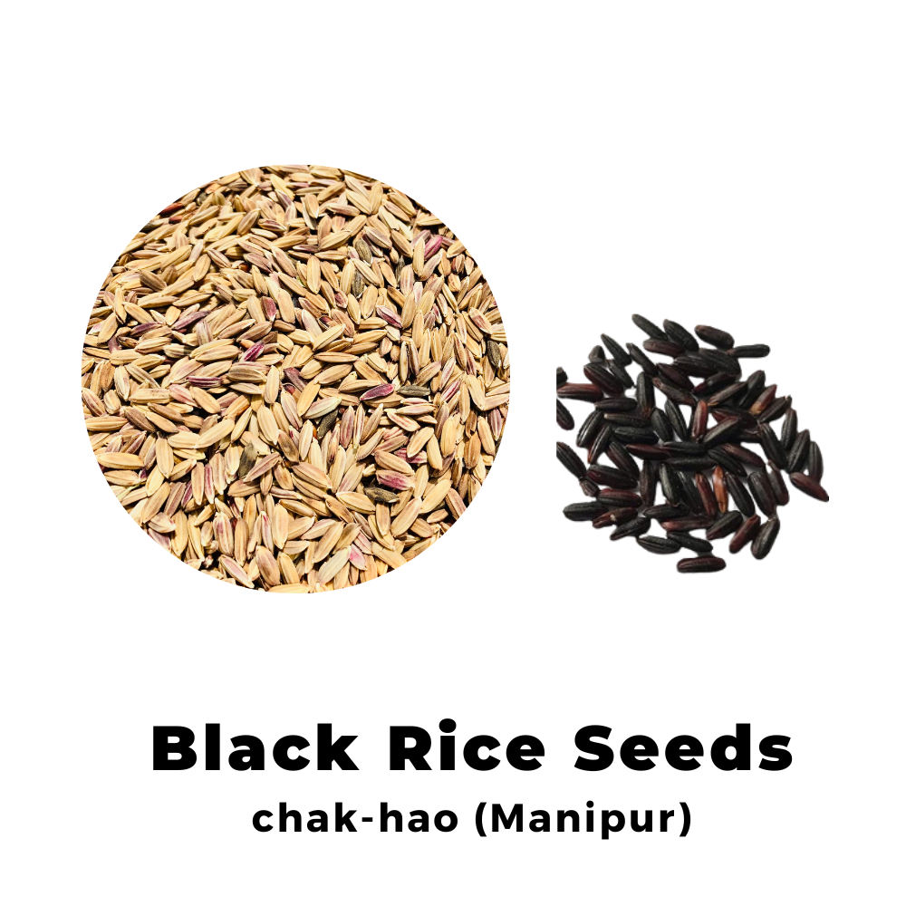 Black Rice Seeds chak-hao (Manipur) for Sowing