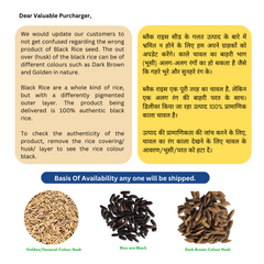 Black Rice Seeds chak-hao (Manipur) for Sowing