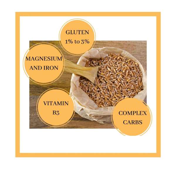 Emmer wheat flour ( Khapli genhu atta) Naturally grown