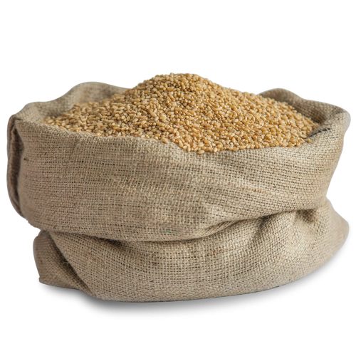 Sharbati Wheat Naturally Grown | Big Pack