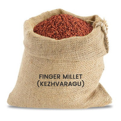 Finger Millet (Whole Grain) (Ragi | Kelvaragu | Nachni | Ragulu)