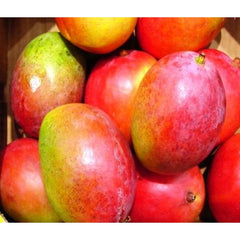 Gulab Khas Mango - 5 kg