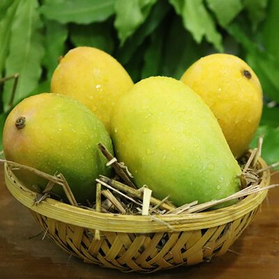 Buy Ratnagiri Alphonso Mango Online | Ratnagiri Hapus Mango | Villkart