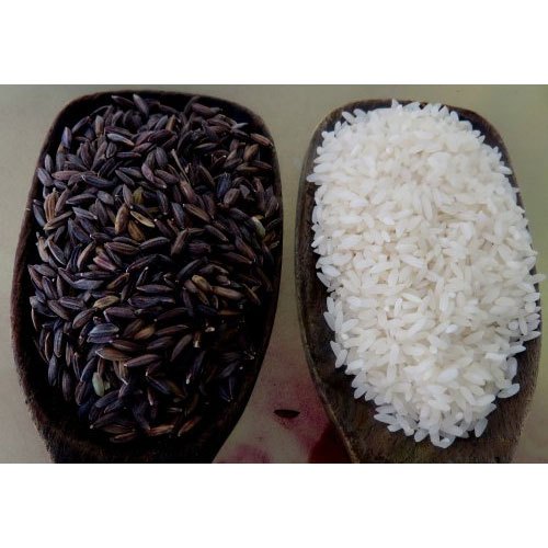 Buy Kala Namak Kiran Paddy Seeds Online | Kalanamak Paddy Seeds