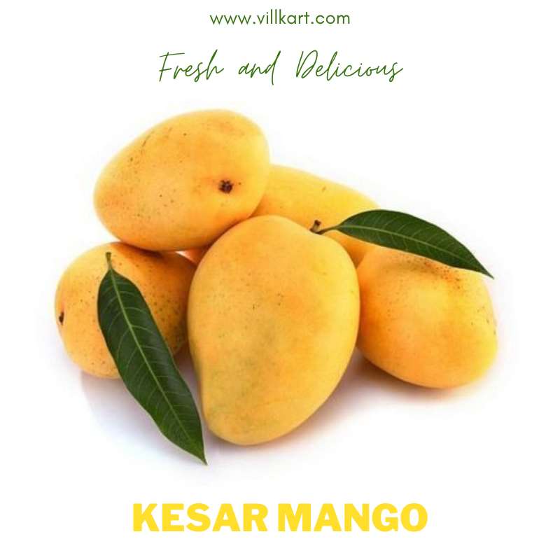 Buy Kesar Mango Online | Kesar Mango 100% Authentic | Best Quality | Villkart