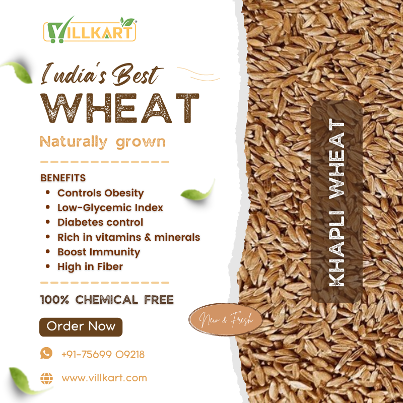 Khapli Whole Wheat (Naturally Grown)