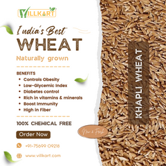 Khapli Whole Wheat (Naturally Grown)